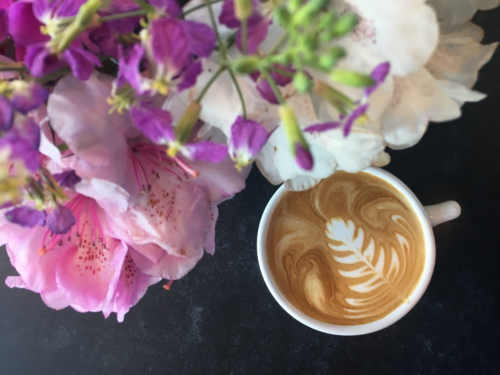 Catahoula Coffee photo 7
