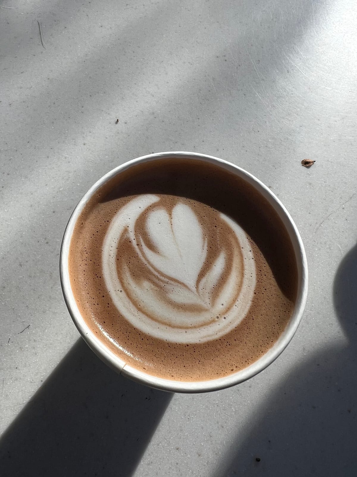 Saint Frank Coffee photo 2