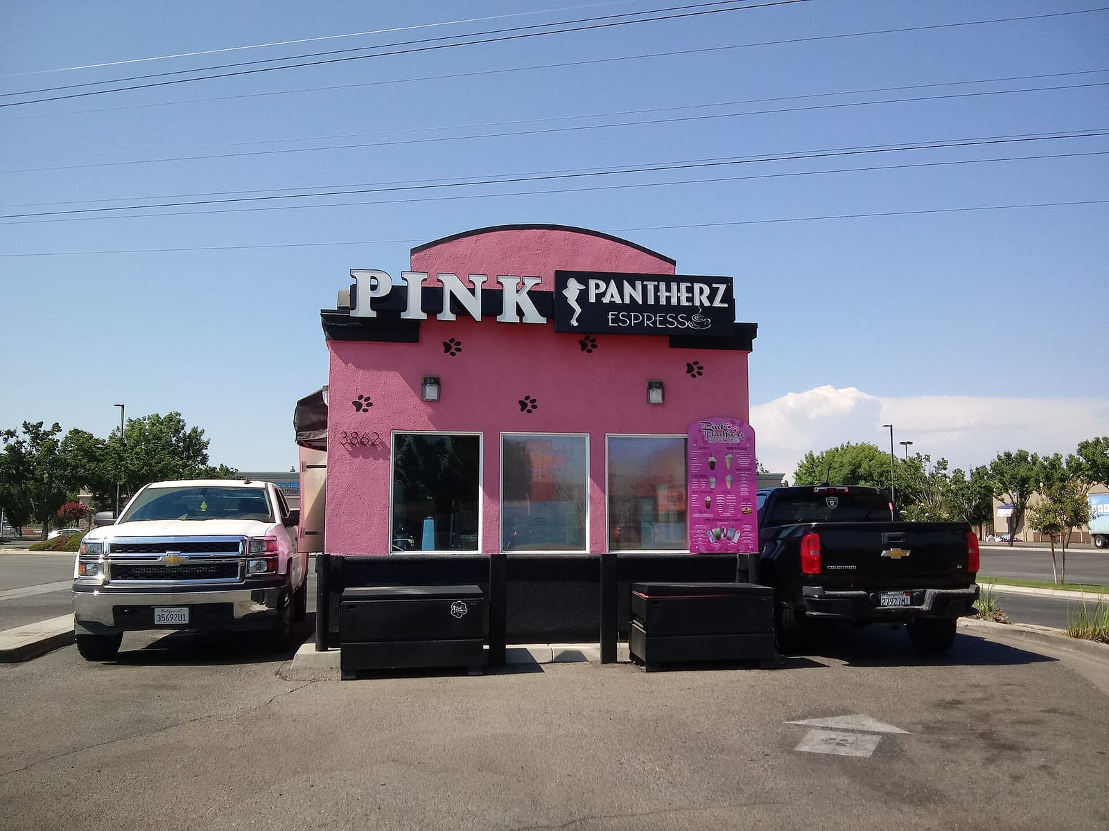 Pink Pantherz Espresso