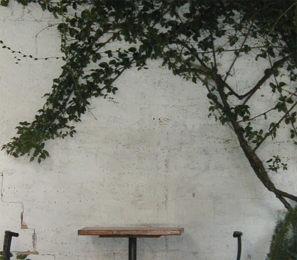 Linnaea's Cafe photo 4