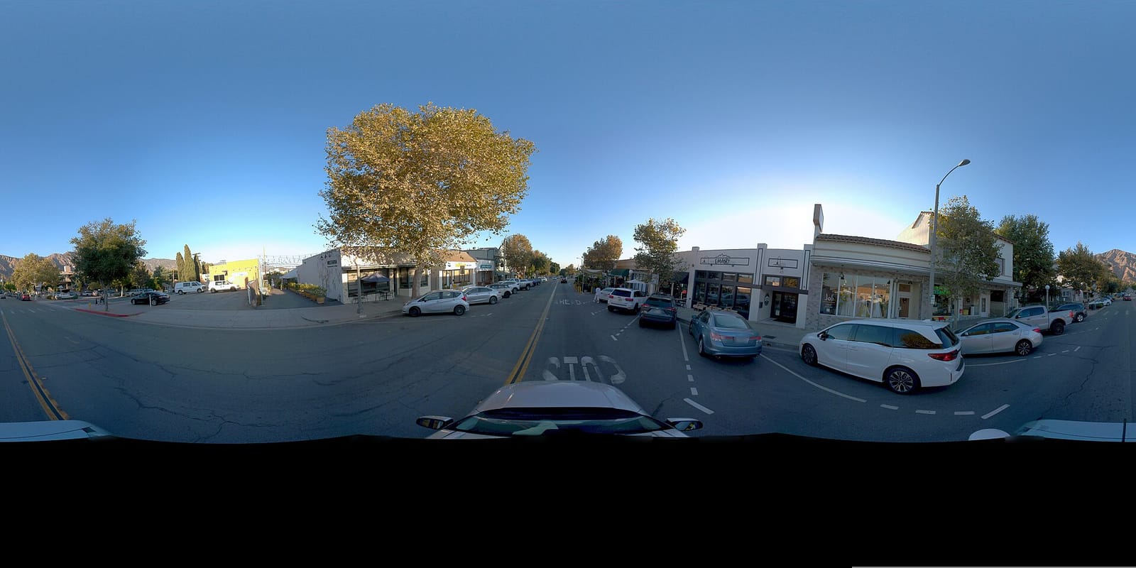 Bean Town photo 2
