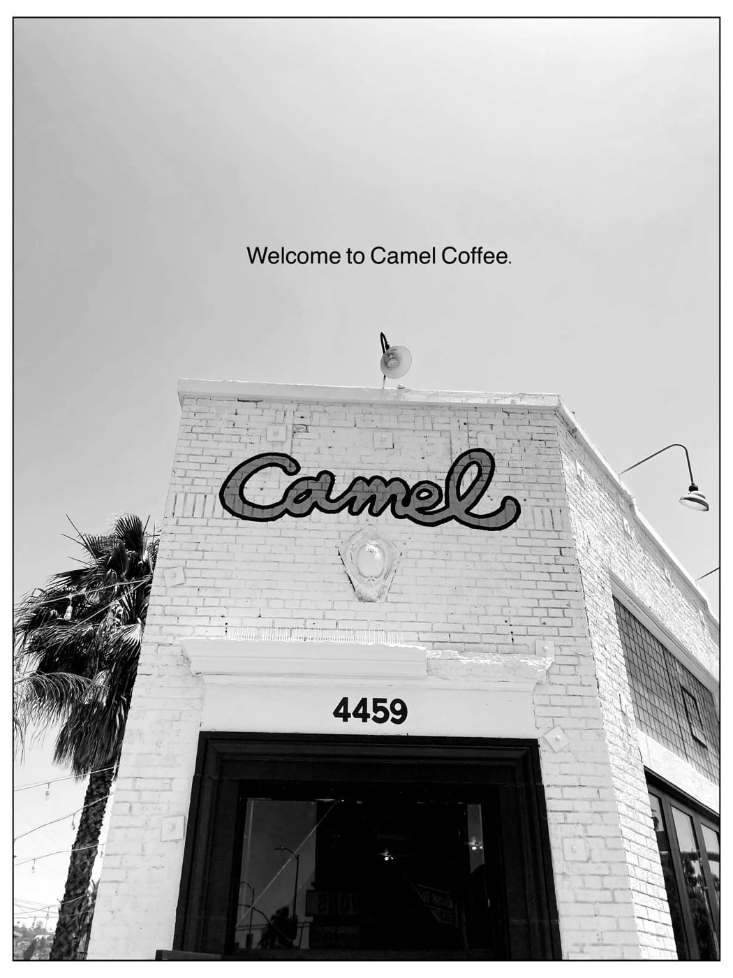 Handles Coffee