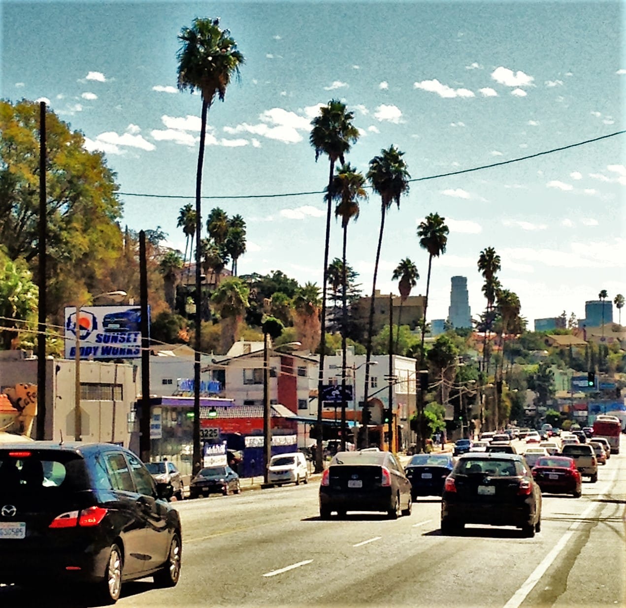 Alfred Coffee Silverlake photo 4