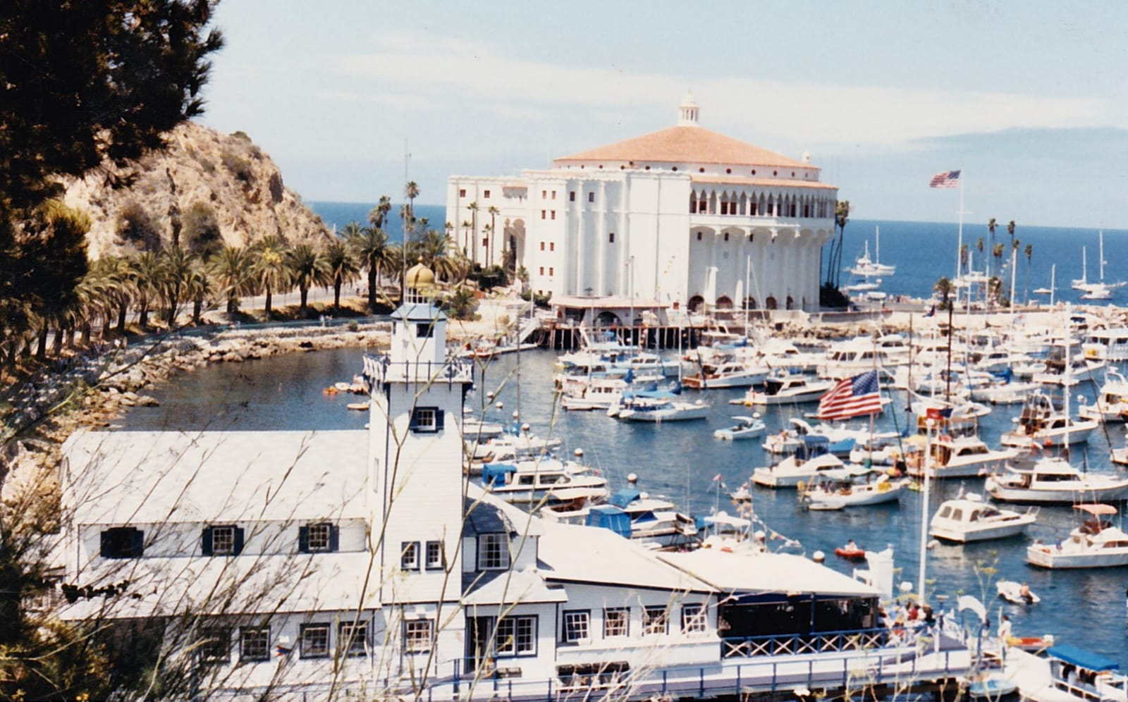 Catalina Coffee & Cookie Co. photo 3