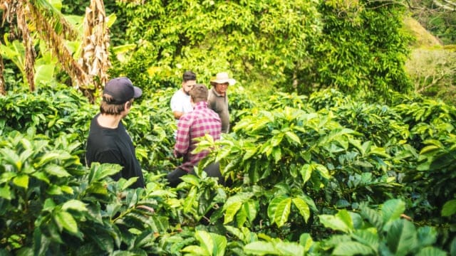Dark Horse Coffee Roasters photo 8