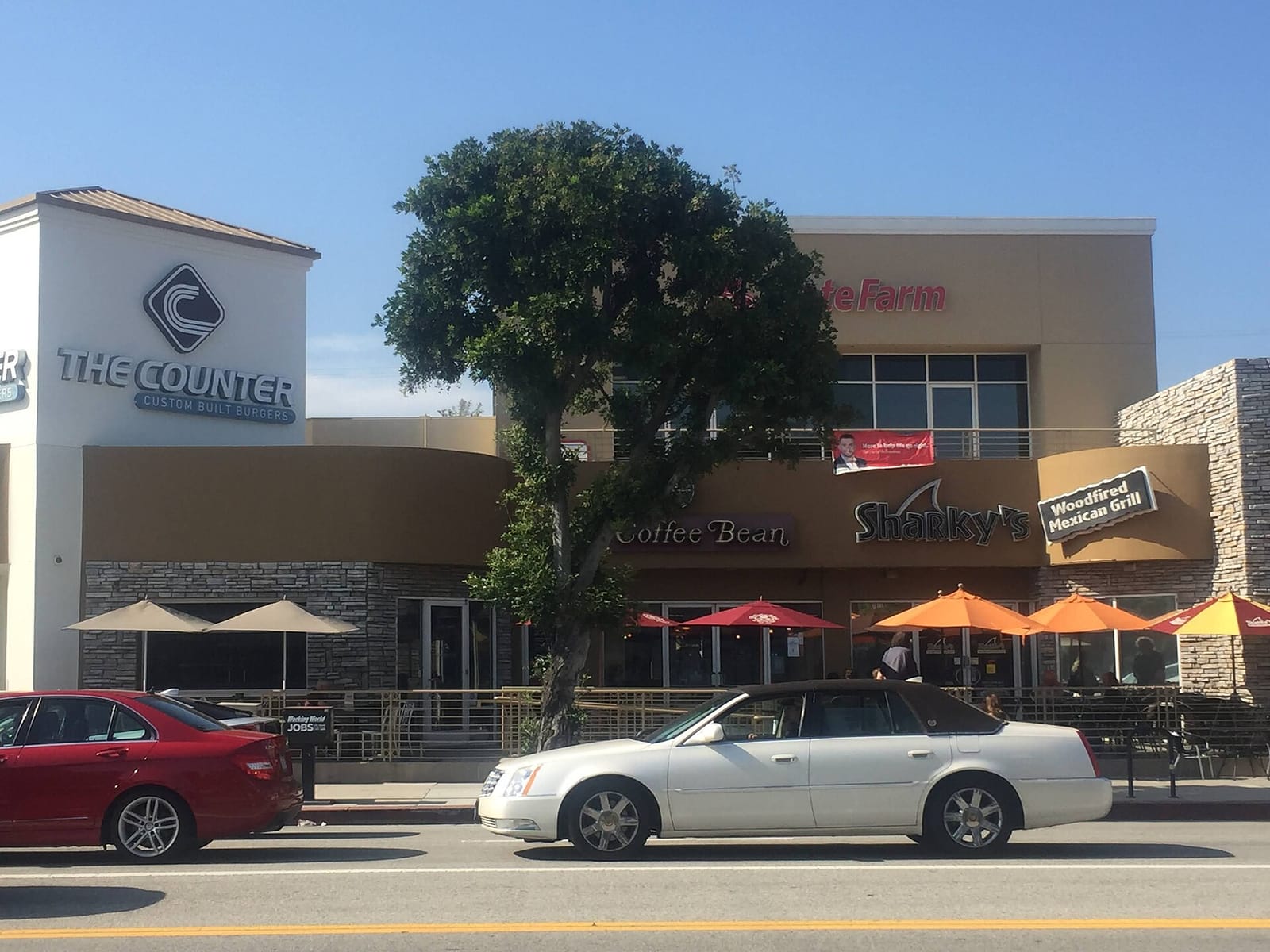 The Coffee Bean & Tea Leaf photo 4