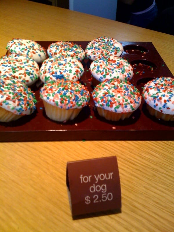 Panini Cafe photo 3