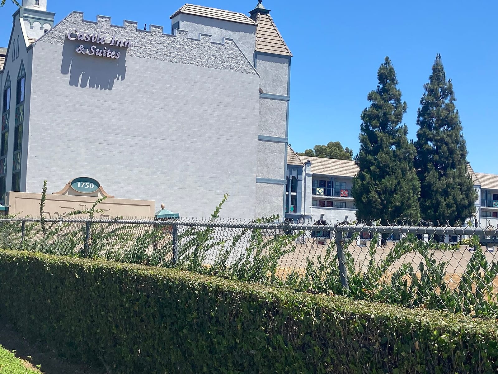 Brewberry Cafe photo 4