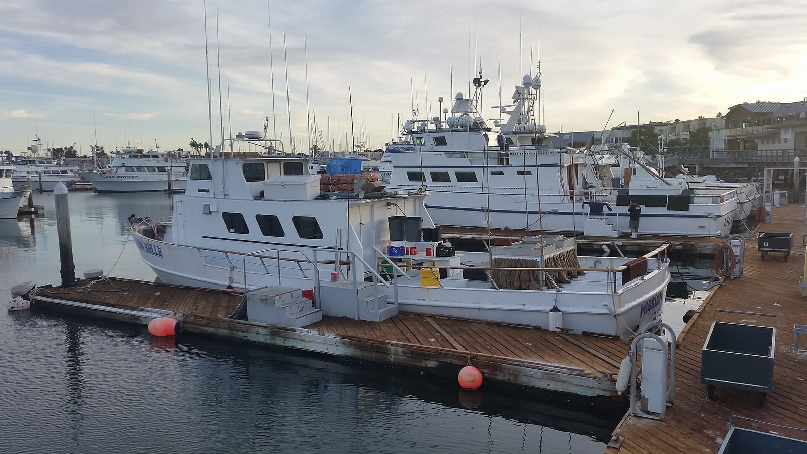 Mitch's Seafood photo 2
