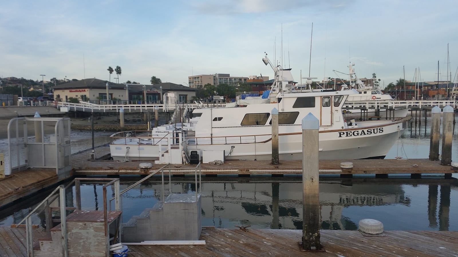 Mitch's Seafood photo 4