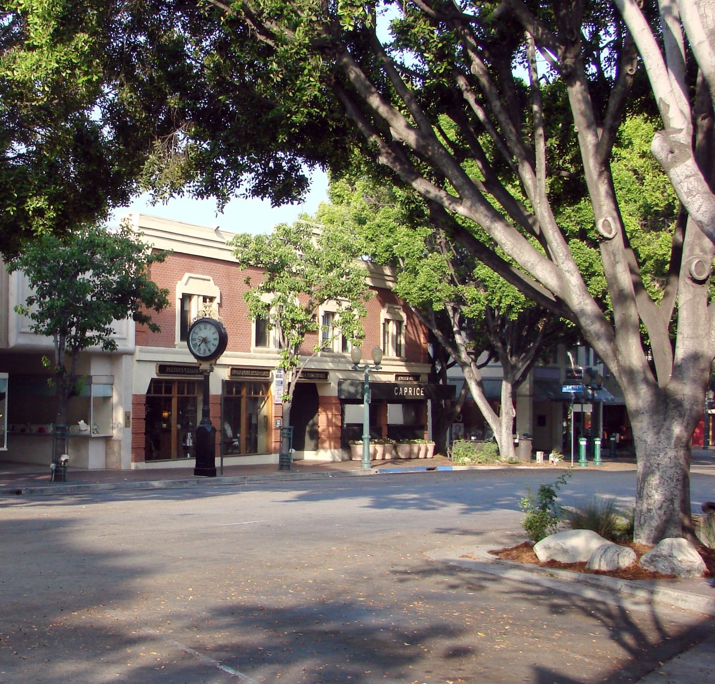 Molinos Coffee photo 3