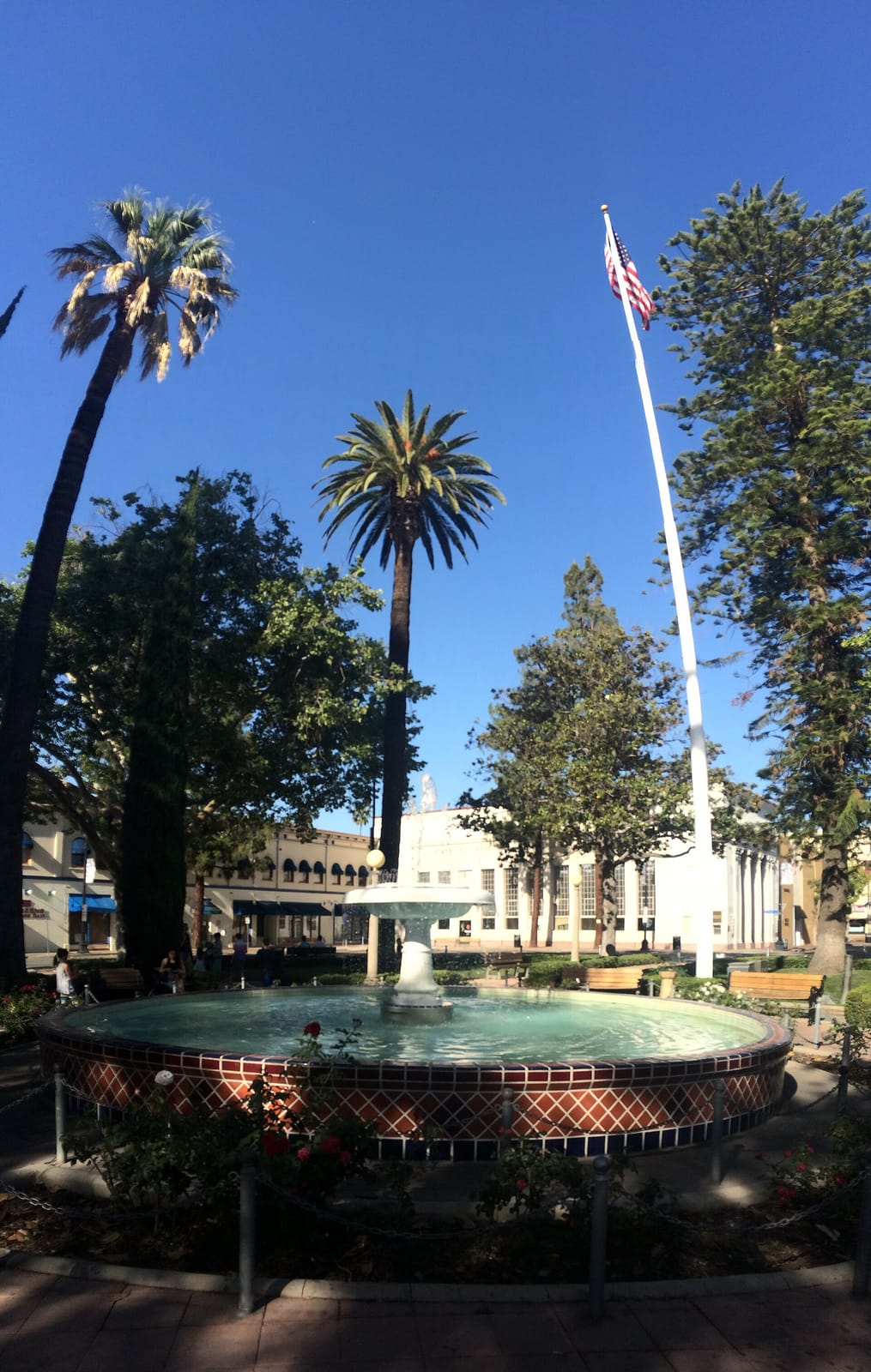Urth Caffe photo 3