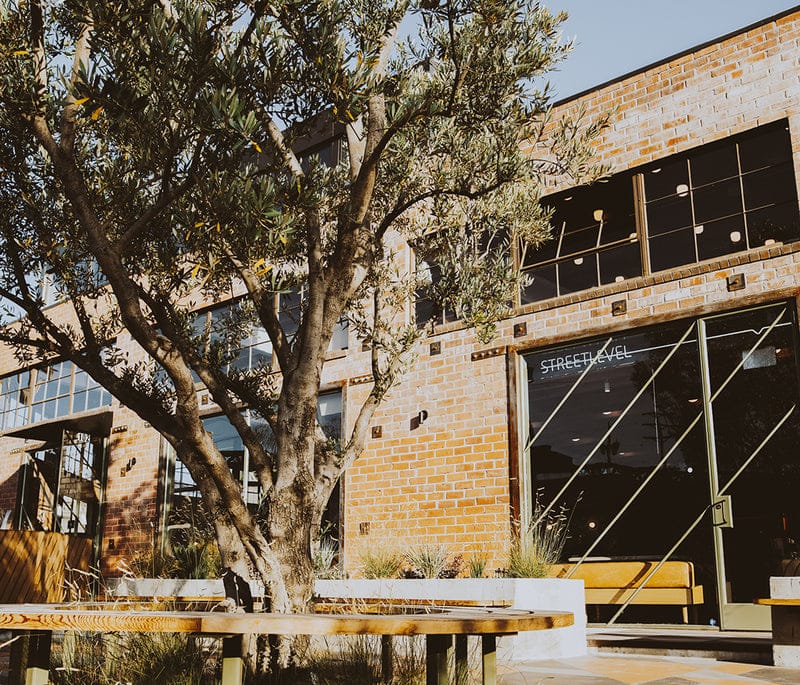 Verve Coffee photo 2