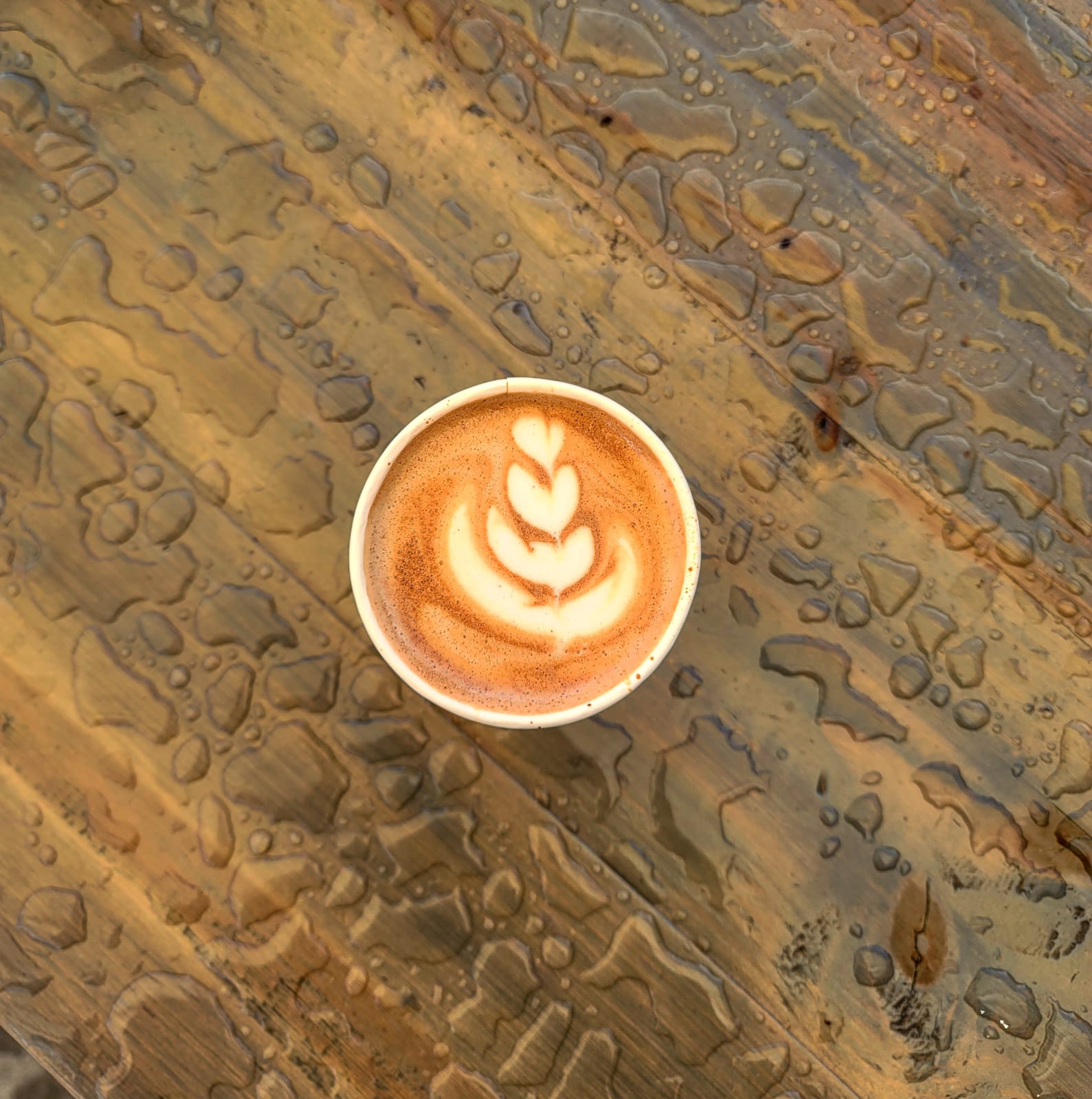 Dash Coffee Bar photo 3
