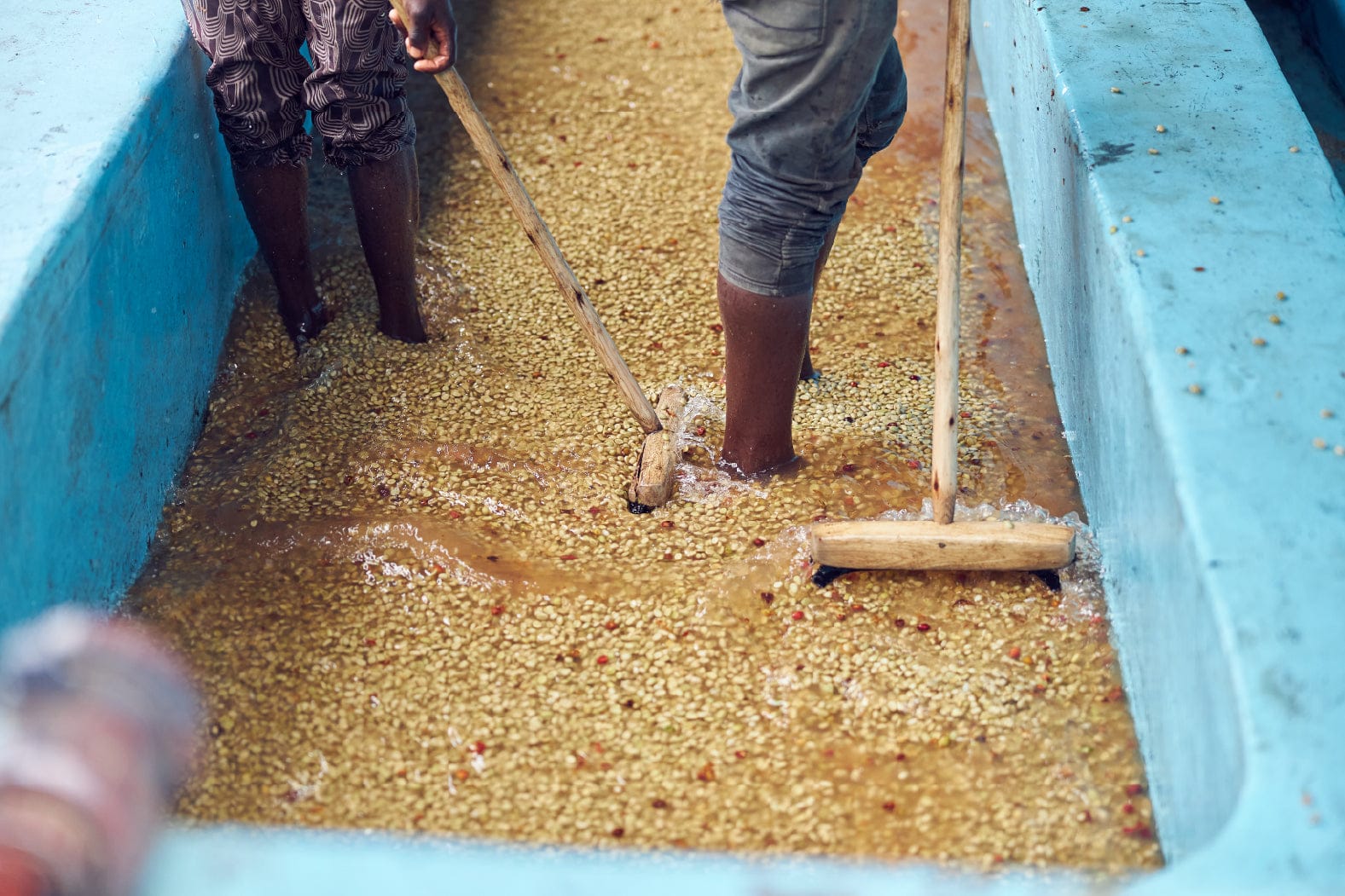 Idego Coffee Roasters photo 4