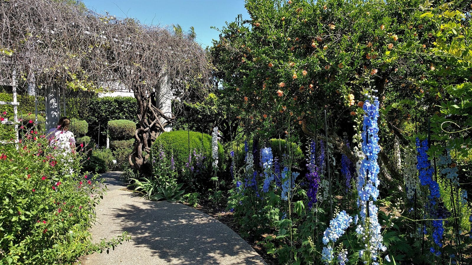 Rose Garden Tea Room