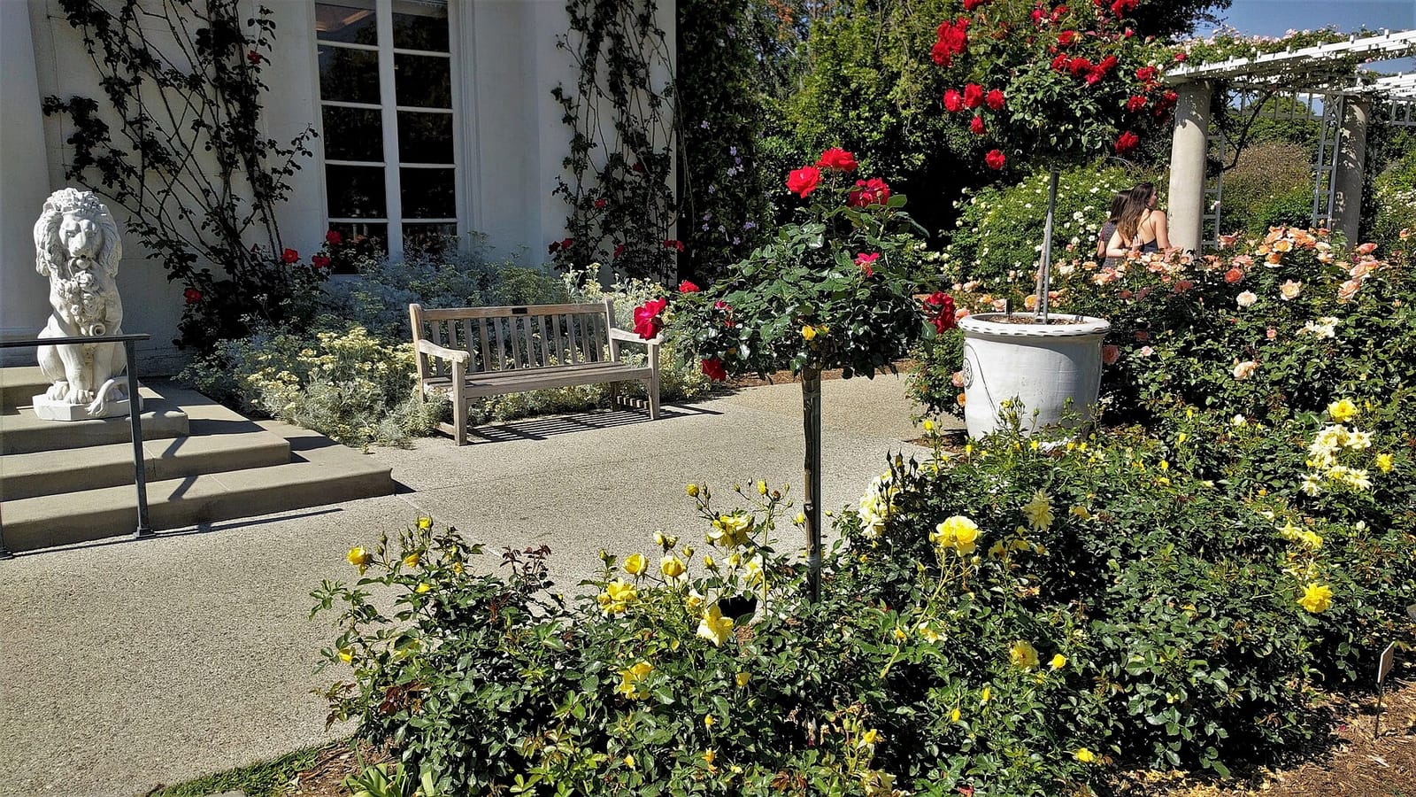 Rose Garden Tea Room photo 3