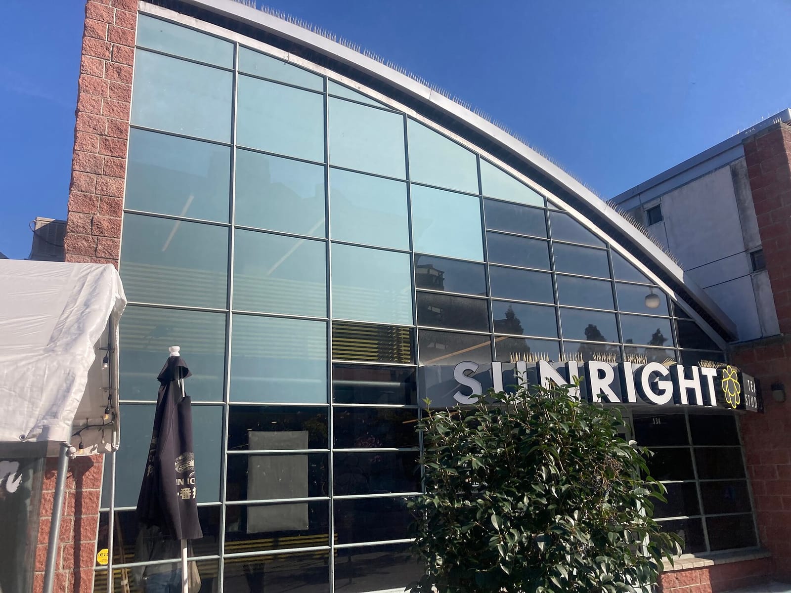 Sunright Tea Studio