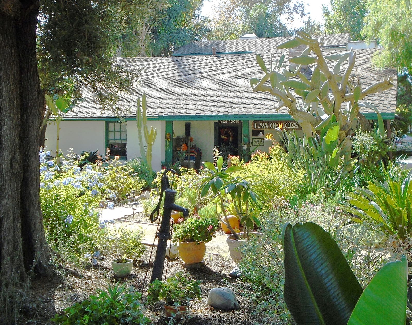 Hidden House Coffee photo 5