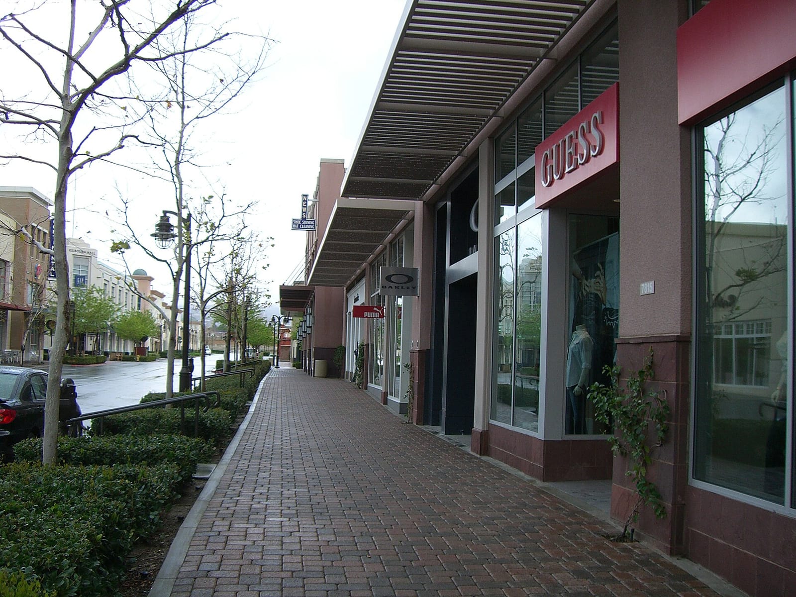 The Coffee Bean & Tea Leaf photo 3