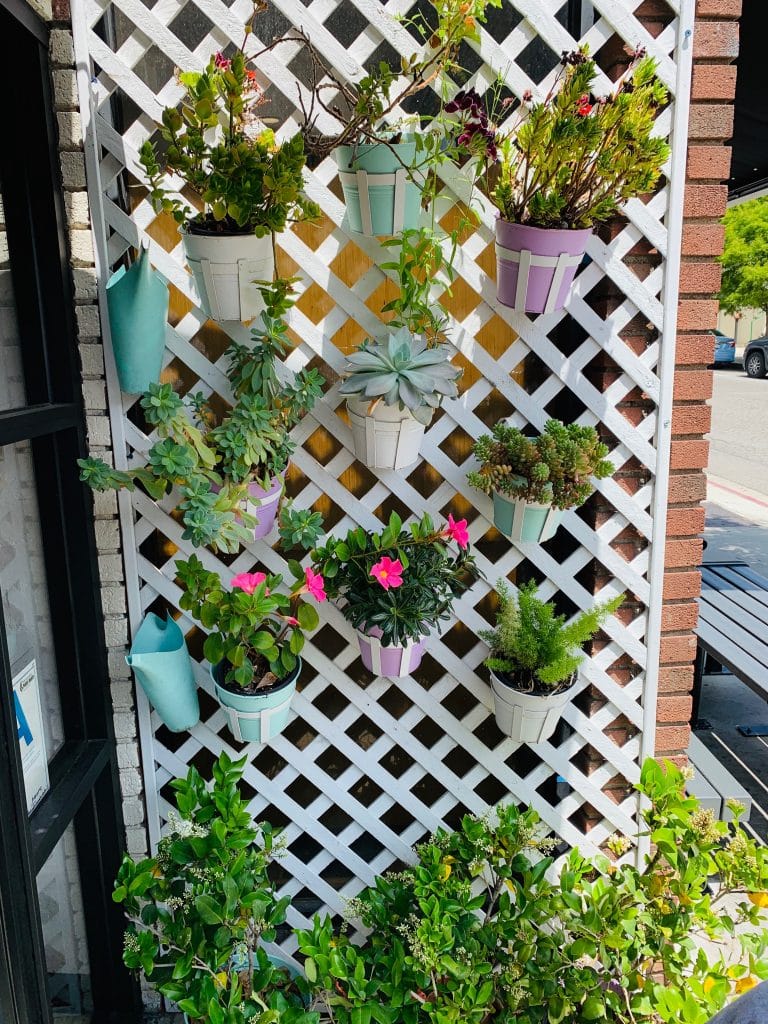 Palisades Garden Cafe photo 9