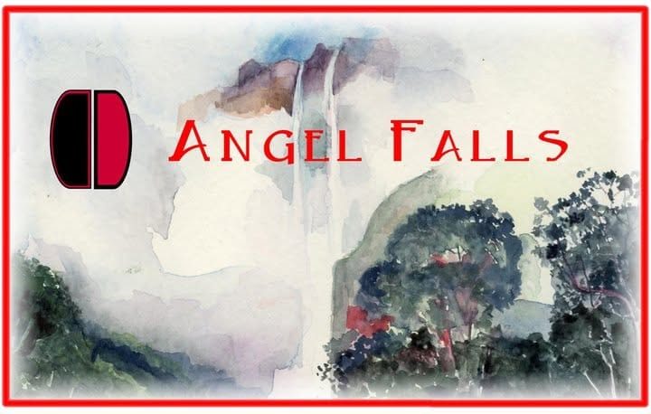 Angel Falls Coffee Co. photo 2