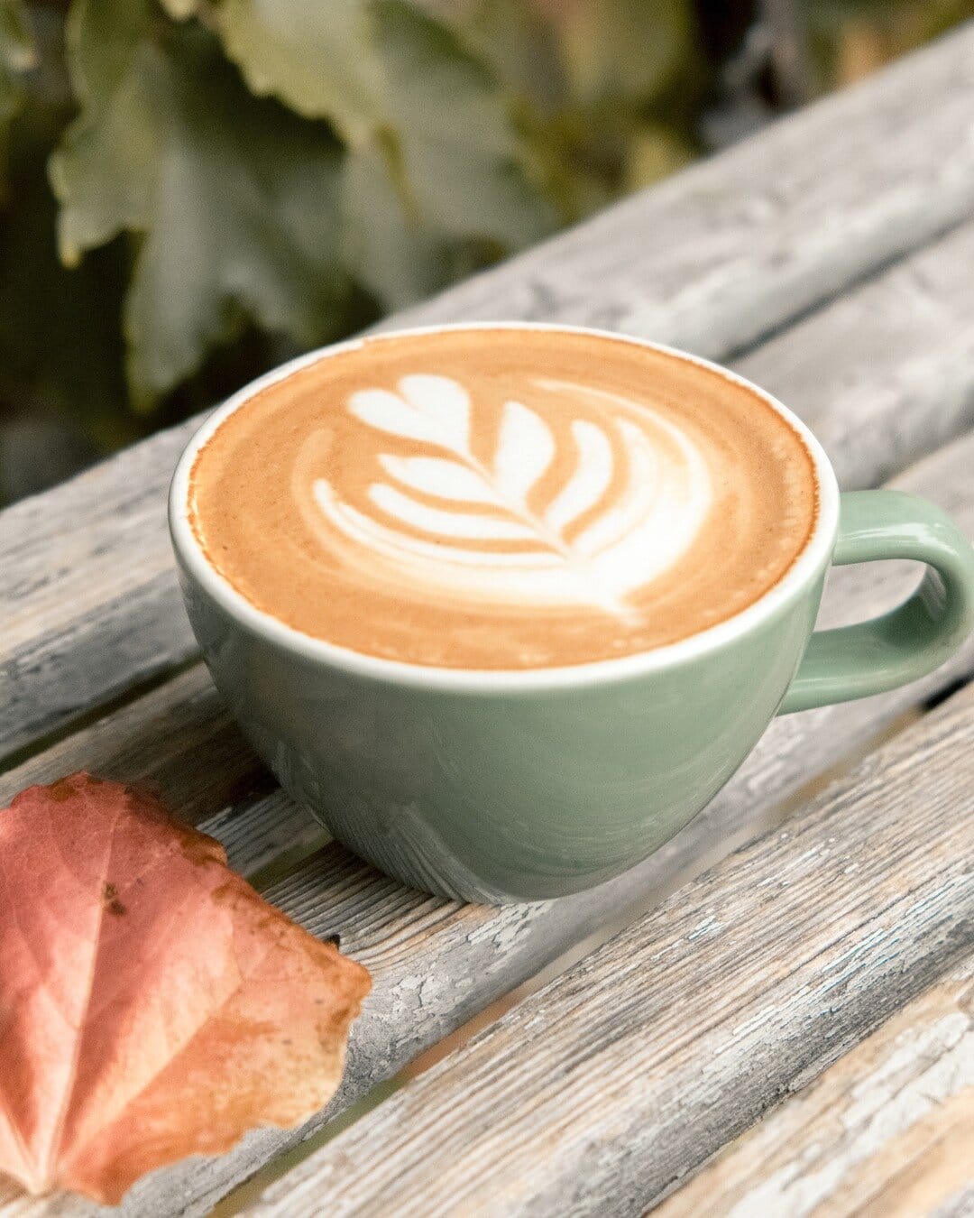 Nook Coffee Bar photo 2