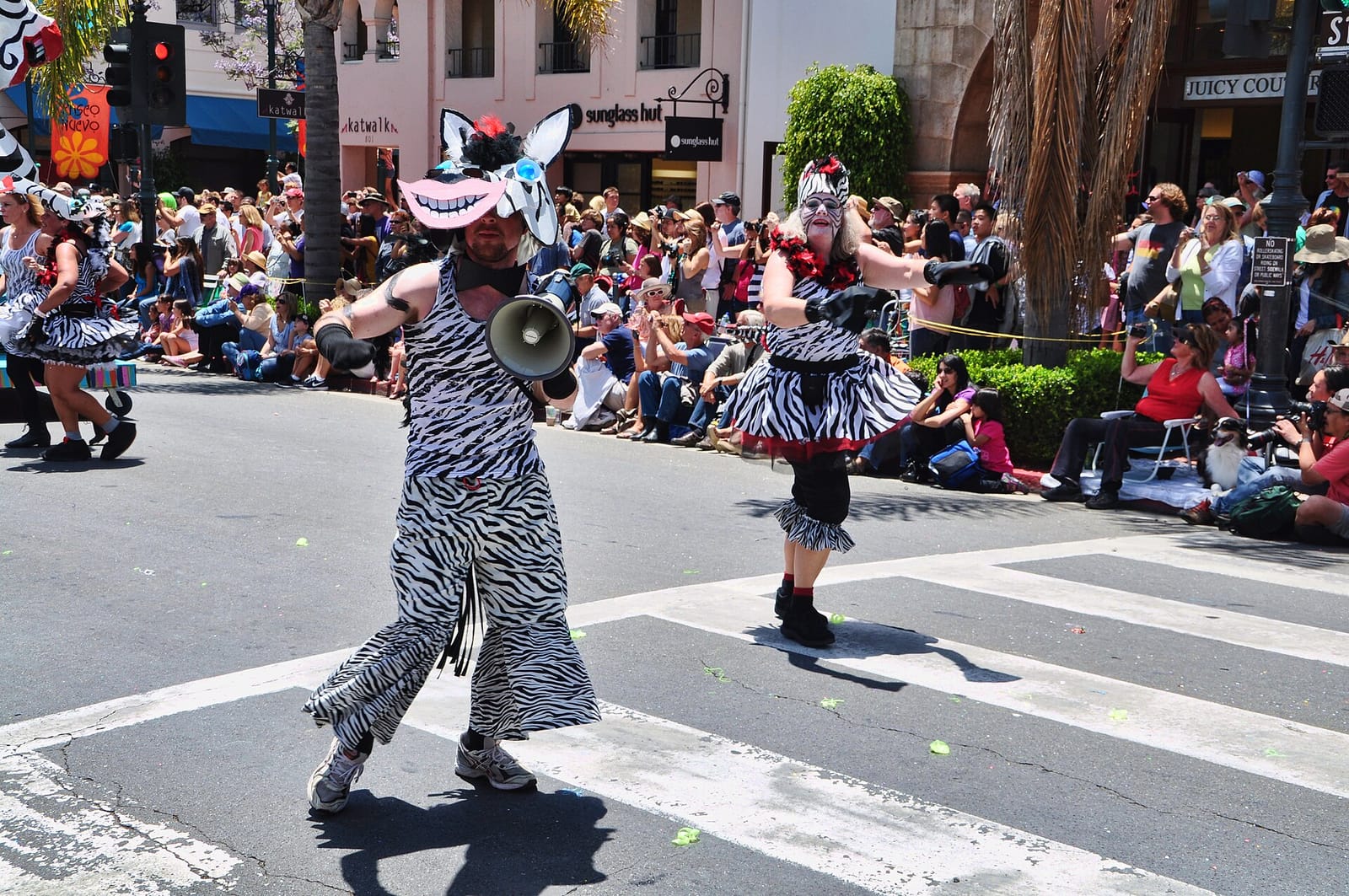 805 Boba photo 2