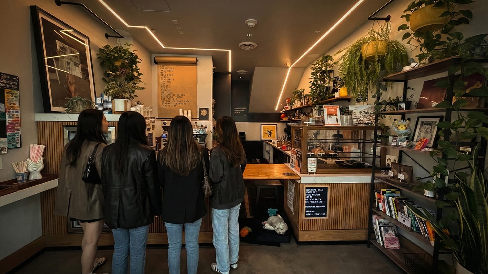 Virtu Coffee