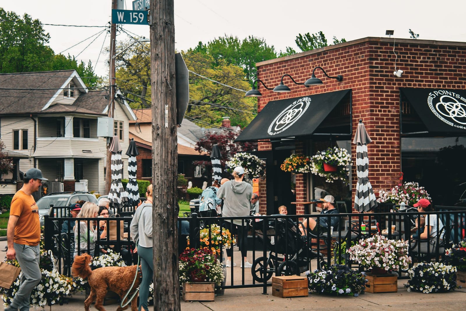 Five Points Coffee & Tea