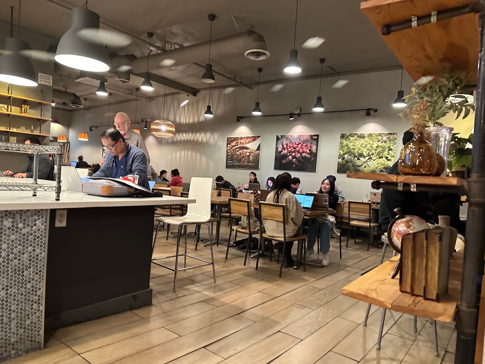 7 Leaves Cafe