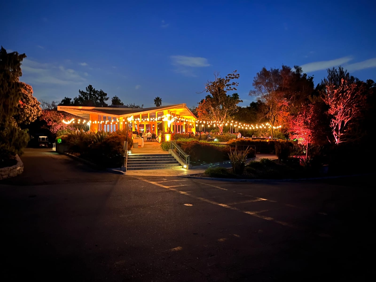 Peacock Cafe photo 5
