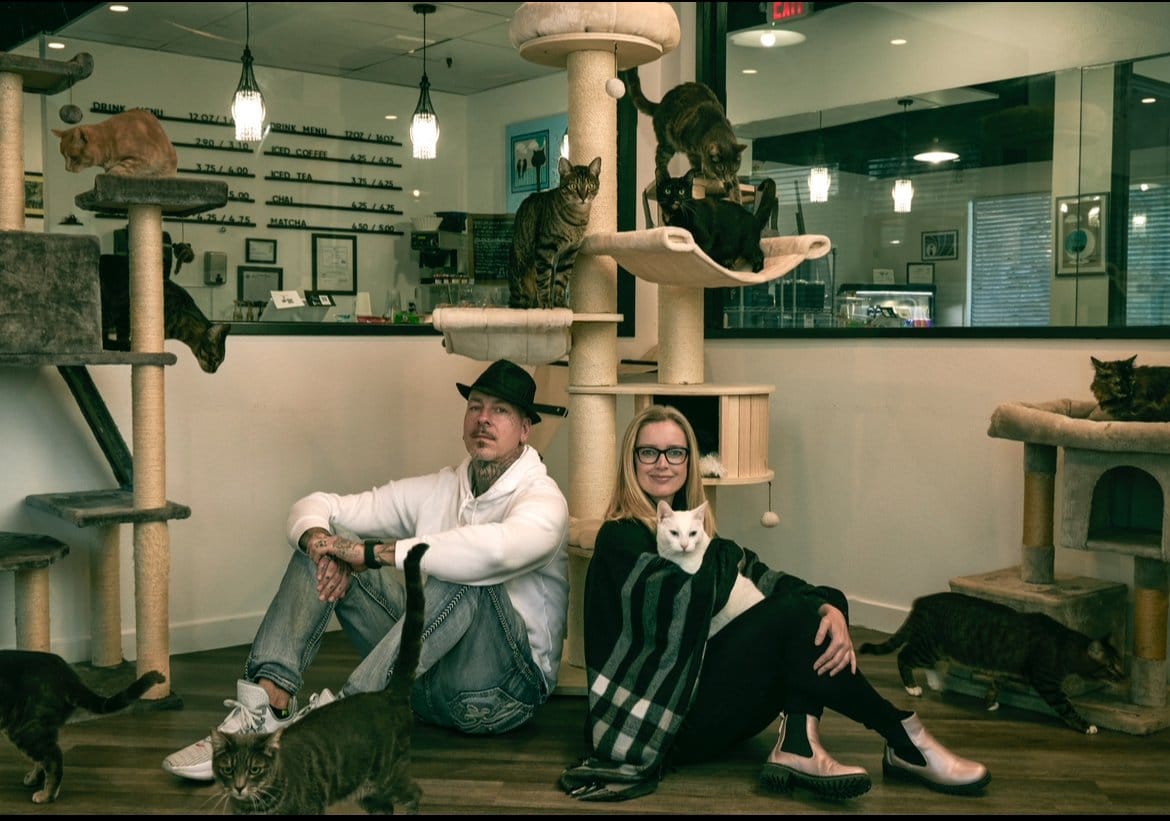 Frisky Business Palm Springs Cat Cafe photo 5