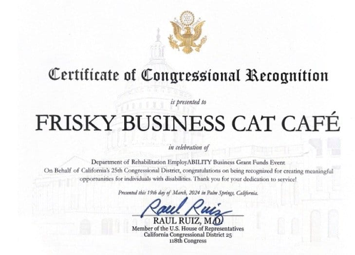 Frisky Business Palm Springs Cat Cafe photo 7