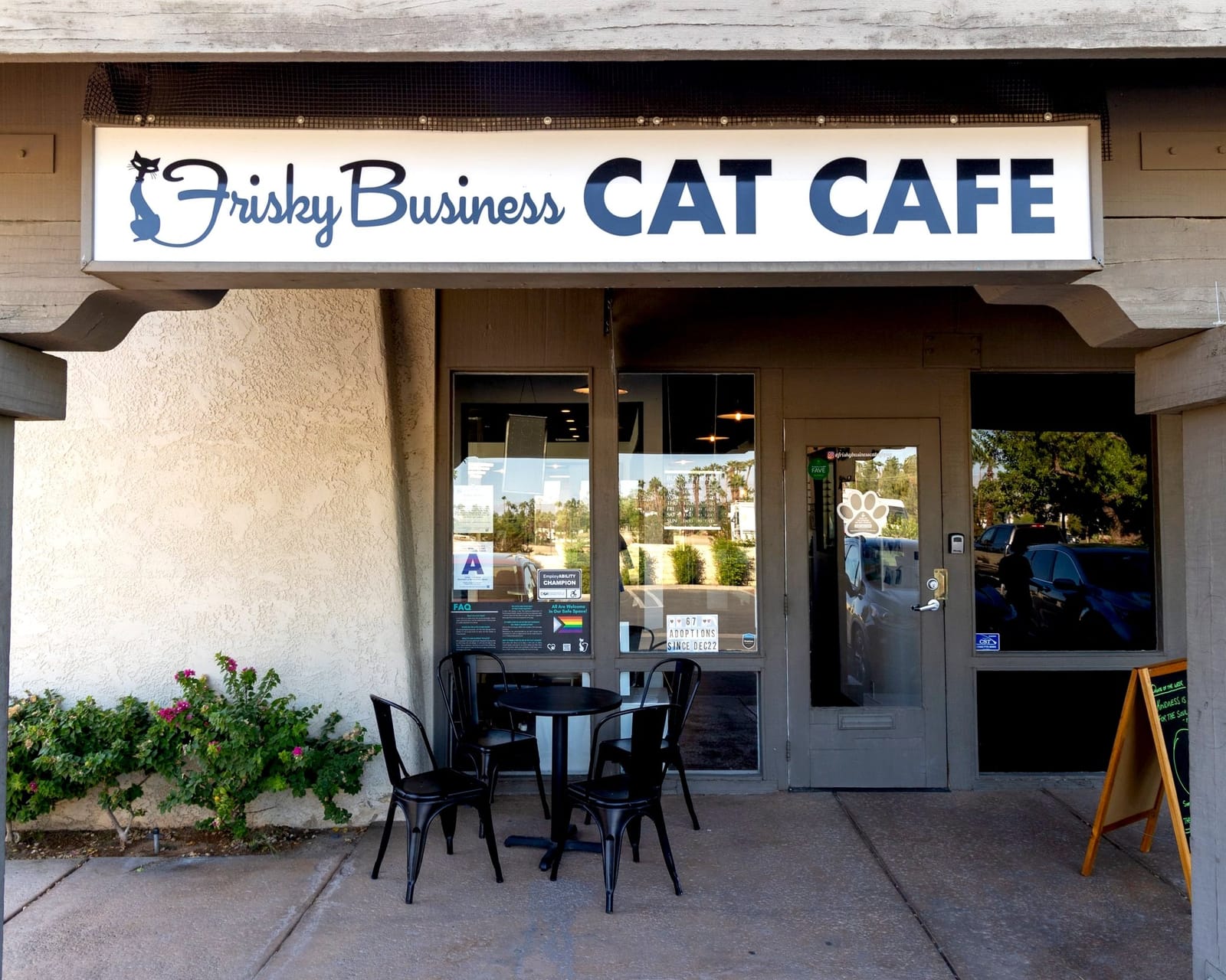 Frisky Business Palm Springs Cat Cafe photo 4