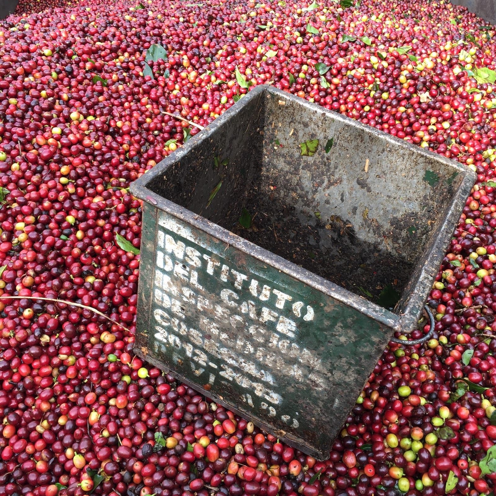 Beacon Coffee Company photo 5