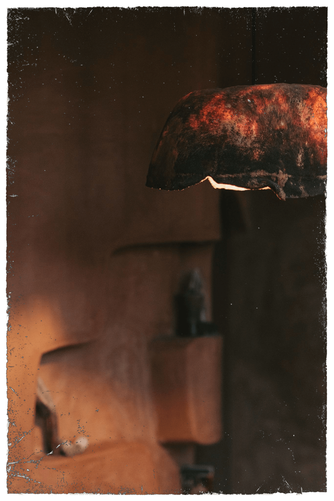 torotea photo 4