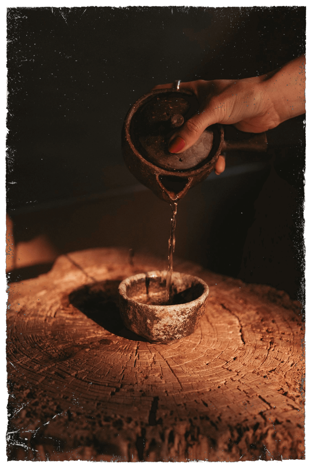 torotea photo 7