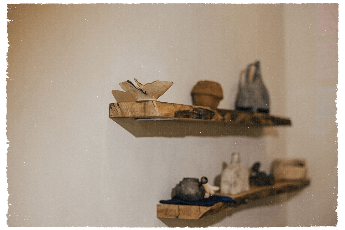torotea photo 3