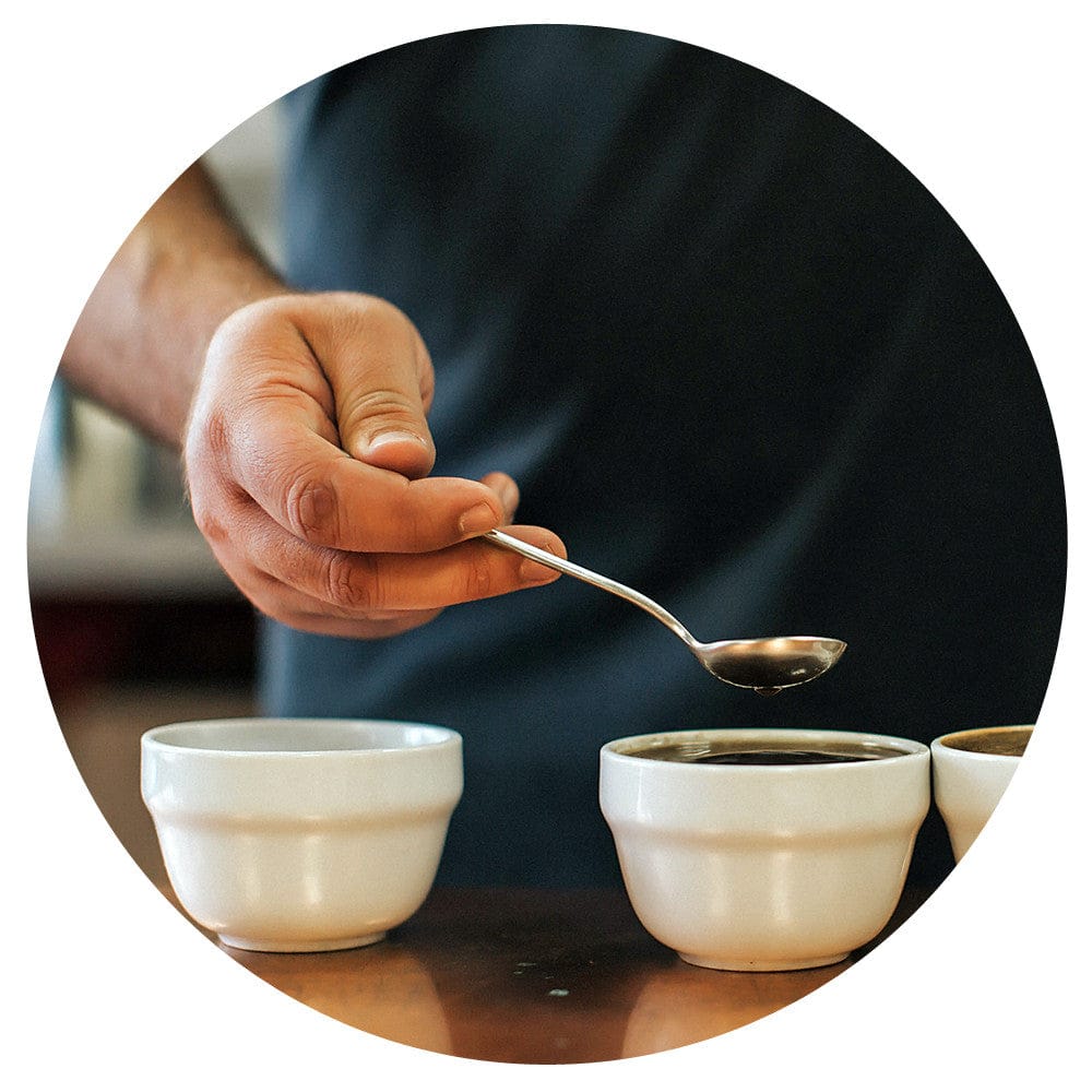Bodhi Leaf Coffee Traders photo 4