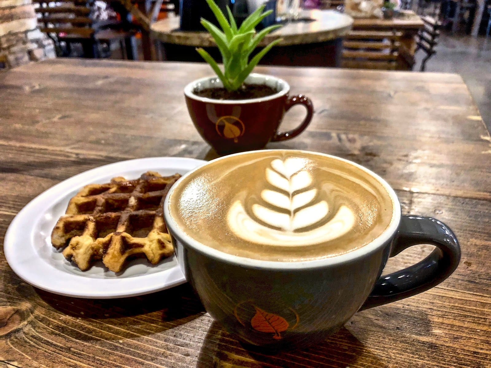 Bodhi Leaf Coffee Traders