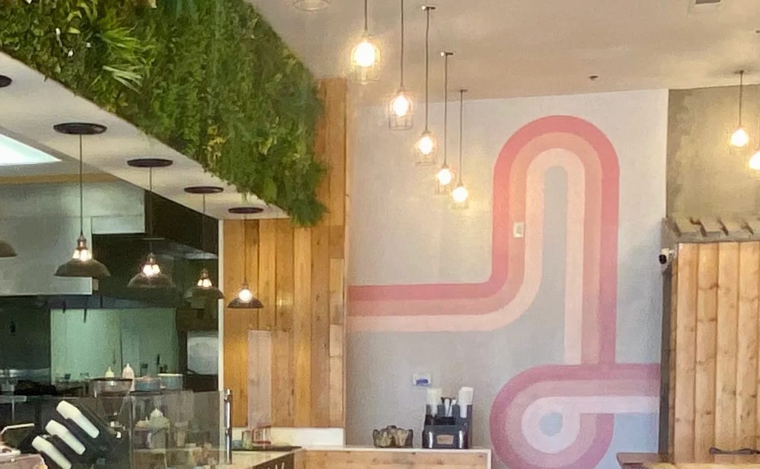 Kaapicat Cafe photo 6