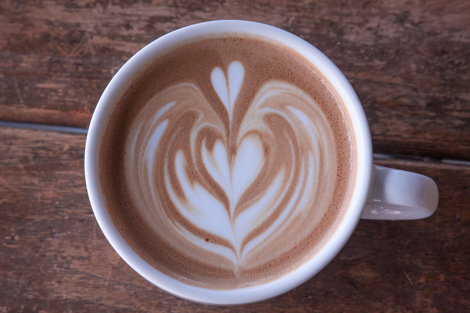 Tickle Tree Cafe photo 8