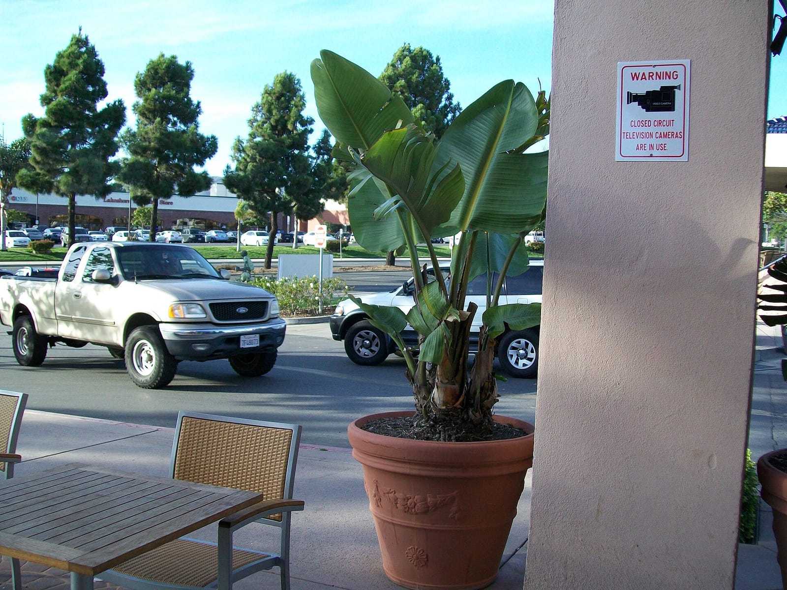 Royal Bakery & Cafe photo 8