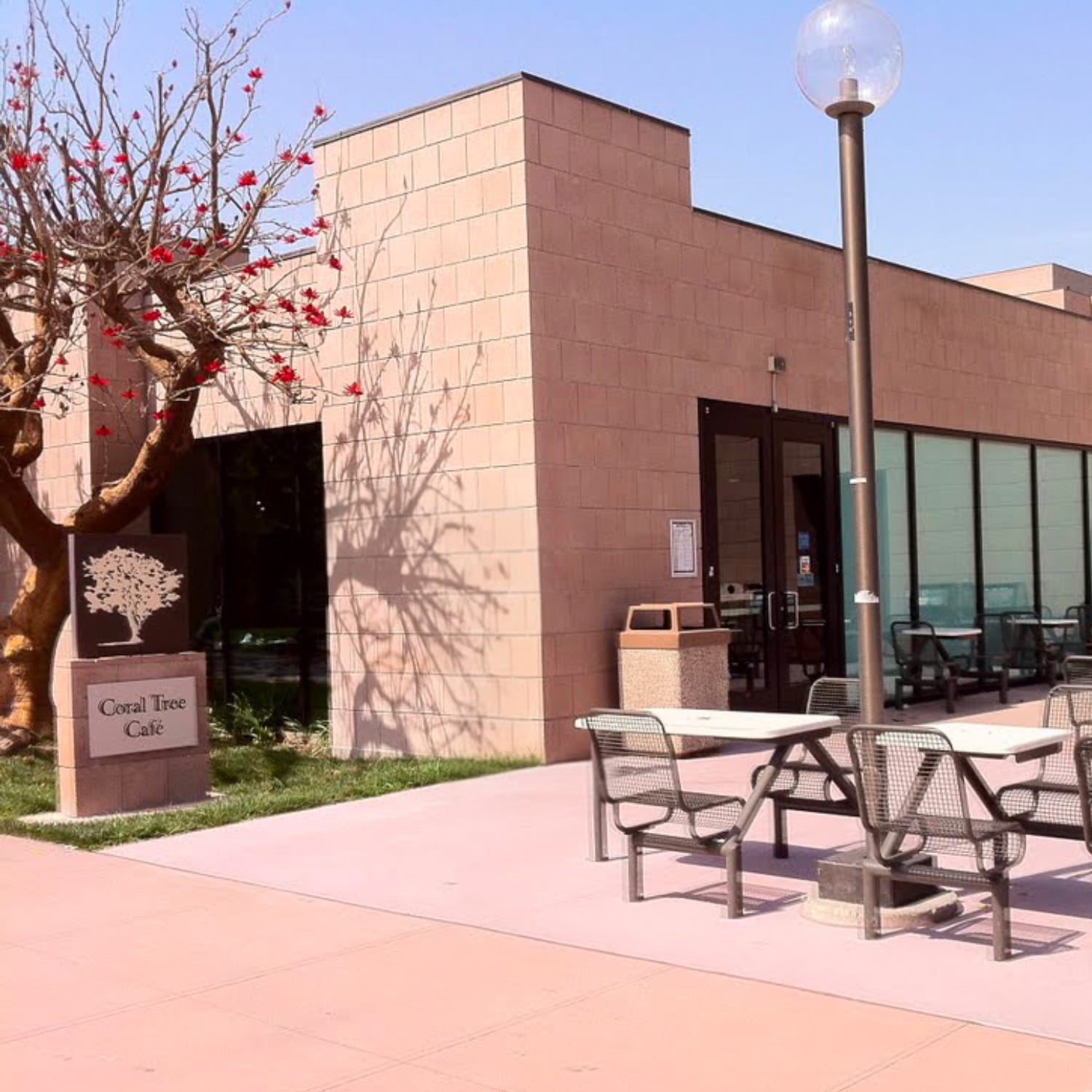 Coral Tree Cafe photo 2