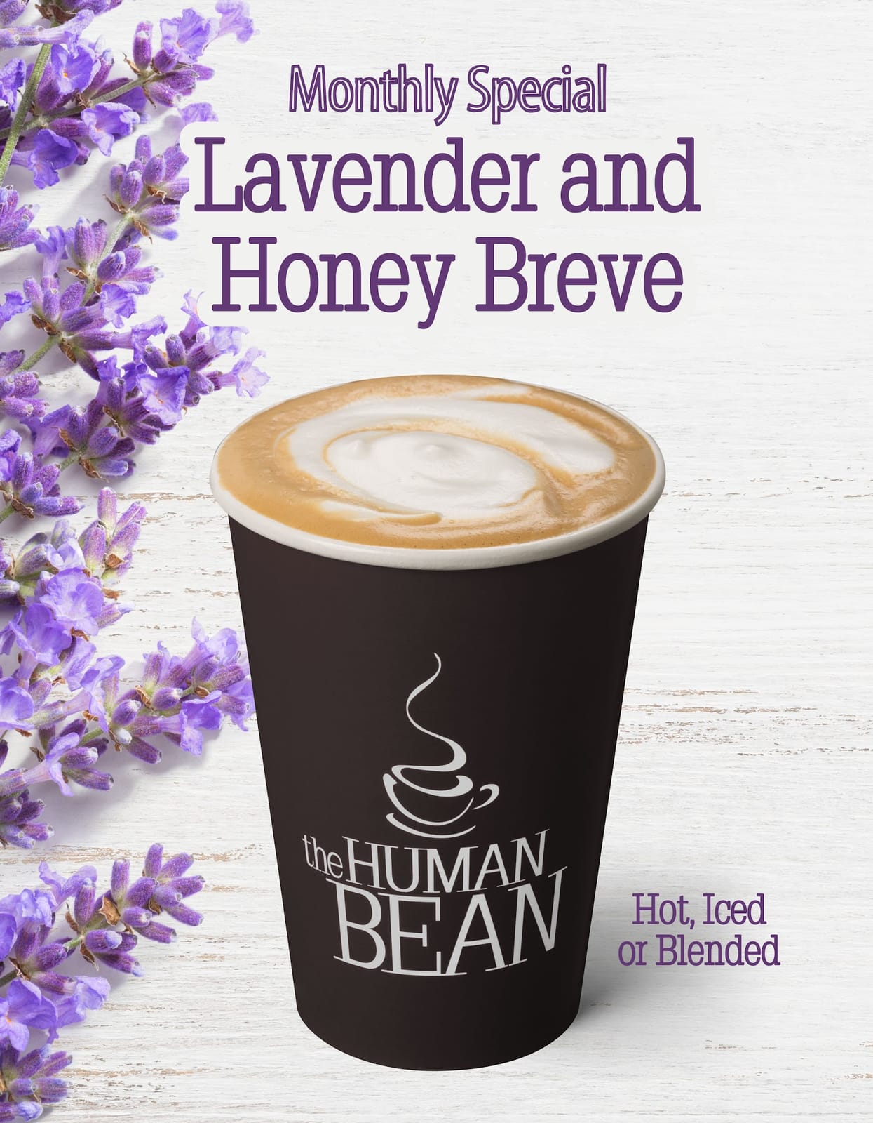The Human Bean
