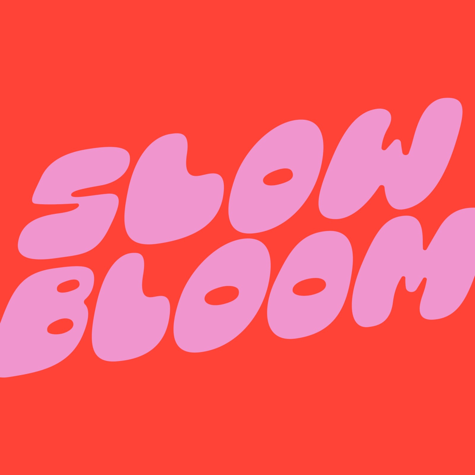 Slow Bloom Coffee Cooperative photo 3