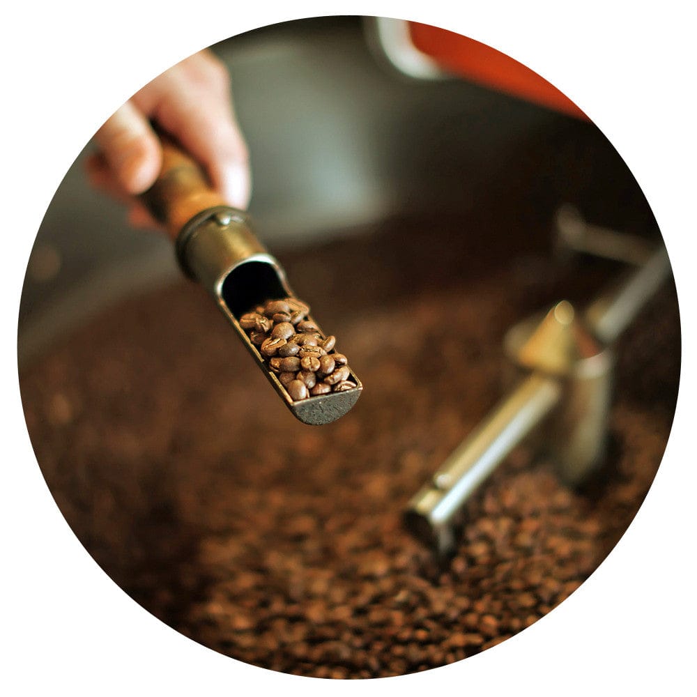 Bodhi Leaf Coffee Traders photo 2