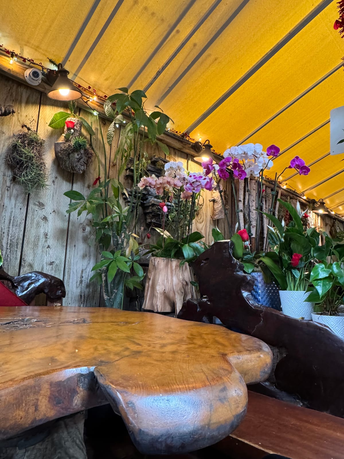 Sloopy's Beach Cafe photo 6