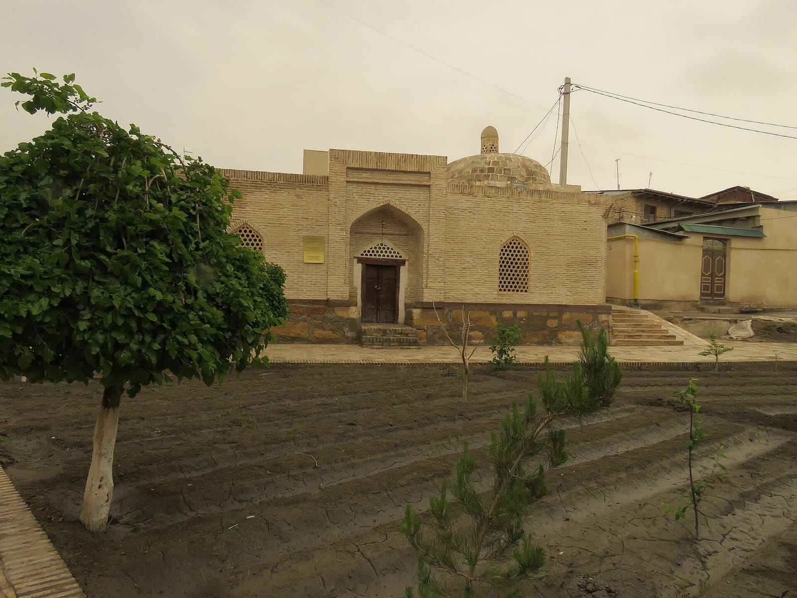 Giotto Bukhara